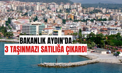 Bakanlık Aydın'da 3 taşınmazı satılığa çıkardı