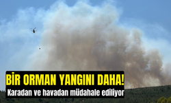 Bir orman yangını daha! Bu sefer de İzmir yanıyor