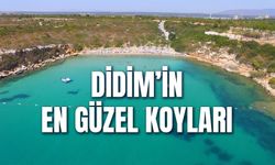 Didim'in En Güzel Koyları: Ücretli ve Ücretsiz Gidilebilecek Plajlar