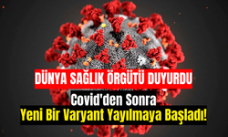 Dünya Sağlık Örgütü Duyurdu: Covid'den Sonra Yeni Bir Varyant Yayılmaya Başladı!