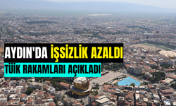 Aydın'da işsizlik azaldı! TÜİK rakamları açıkladı