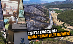 Aydın'da orman yangınları masaya yatırıldı! Önemli bilgiler verildi