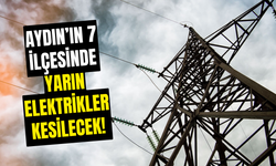 Aydın'ın 7 İlçesinde Elektrikler Kesilecek!: 4 Temmuz 2024 Aydın'da Elektrik Kesintisi