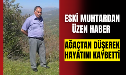 Eski Muhtardan üzen haber! Ağaçtan düşerek hayatını kaybetti