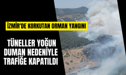 İzmir'de orman yangını seferberliği! O tüneller trafiğe kapatıldı!