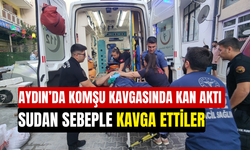 Aydın'da komşu kavgasında kan aktı