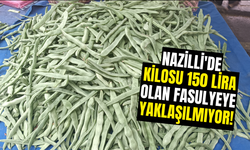 Nazilli'de kilosu 150 lira olan fasulyeye yaklaşılmıyor!