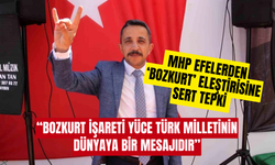 MHP’li Baskın’dan CHP’li Kaya’ya ‘Bozkurt’ tepkisi