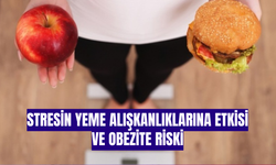 Stresin Yeme Alışkanlıklarına Etkisi ve Obezite Riski