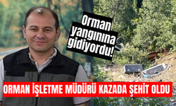 Orman İşletme Müdürü kazada şehit oldu