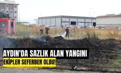 Aydın'da sazlık alan yangını! Ekipler seferber oldu!