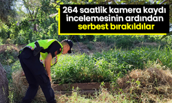 264 saatlik kamera kaydı incelemesinin ardından serbest bırakıldılar