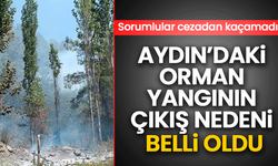 Aydın’daki orman yangının çıkış nedeni belli oldu