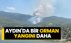 Aydın'da bir orman yangını daha