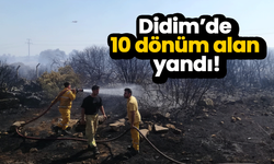 Didim’de 10 dönüm alan yandı!