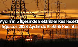 Aydın'ın 5 İlçesinde Elektrikler Kesilecek!: 1 Ağustos 2024 Aydın'da Elektrik Kesintisi