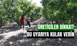 Üreticiler dikkat! Bu uyarıya kulak verin