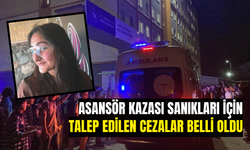 Aydın'da büyük dehşet yaşanmıştı! Asansör kazası sanıkları için talep edilen cezalar belli oldu