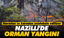 Nazilli'de orman yangını: Havadan ve karadan müdahale ediliyor