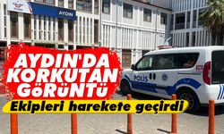 Aydın'da korkutan görüntü