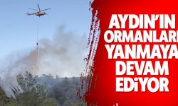 Aydın’ın ormanları yanmaya devam ediyor