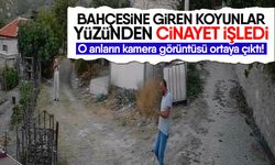 Bahçesine giren koyunlar yüzünden cinayet işledi! O anların kamera görüntüsü ortaya çıktı