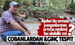 Aydın’da orman yangınlarının artma nedeni bu olabilir mi? Çobanlardan ilginç tespit