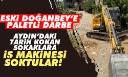 Eski Doğanbey’deki koruma ihlali tepki çekti