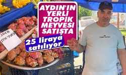 Aydın'ın yerli tropik meyvesi satışta