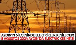 Aydın'ın 6 İlçesinde Elektrikler Kesilecek!: 8 Ağustos 2024 Aydın'da Elektrik Kesintisi