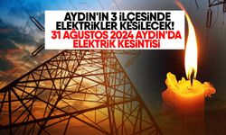 Aydın'ın 3 İlçesinde Elektrikler Kesilecek!: 31 Ağustos 2024 Aydın'da Elektrik Kesintisi