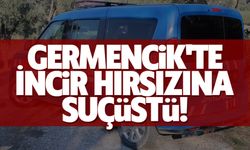 Germencik'te incir hırsızına suçüstü!