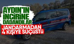 Aydın’ın incirine dadandılar! Jandarmadan 4 kişiye suçüstü