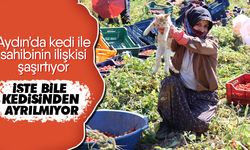 Aydın’da kedi ile sahibinin ilişkisi şaşırtıyor