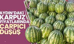 Aydın’da karpuz üreticinin elinde kaldı