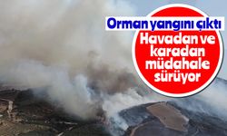 Orman yangını çıktı: Havadan ve karadan müdahale sürüyor