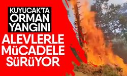 Kuyucak'ta orman yangını