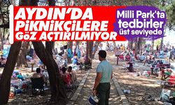 Aydın’da piknikçilere göz açtırılmıyor