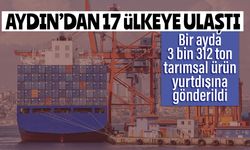 Aydın’dan 17 ülkeye ulaştı: Söke'nin ürünleri ihraç ediliyor