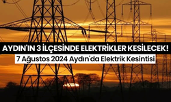 Aydın'ın 3 İlçesinde Elektrikler Kesilecek!: 7 Ağustos 2024 Aydın'da Elektrik Kesintisi