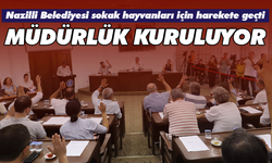 Nazilli Belediyesi sokak hayvanları için harekete geçti! Müdürlük kuruluyor