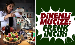 Dikenli mucize: Frenk İnciri