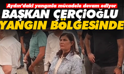 Başkan Çerçioğlu yangın bölgesinde