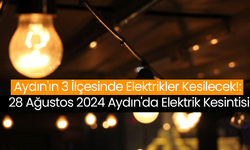 Aydın'ın 3 İlçesinde Elektrikler Kesilecek!: 28 Ağustos 2024 Aydın'da Elektrik Kesintisi