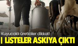 Kuyucaklı üreticiler dikkat! Listeler askıya çıktı