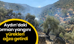 Aydın’daki yangın büyümeden kontrol altına alındı