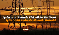 Aydın'ın 2 İlçesinde Elektrikler Kesilecek!: 1 Eylül 2024 Aydın'da Elektrik Kesintisi