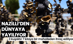 Nazilli’den dünyaya yayılıyor! 3 kuşaktır 7 kıtaya bir mahalleden ihraç ediliyor