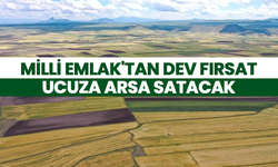 Milli Emlak'tan dev fırsat: Ucuza arsa satacak