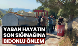 Aydın’da orman yangınlarına karşı bir önlem daha